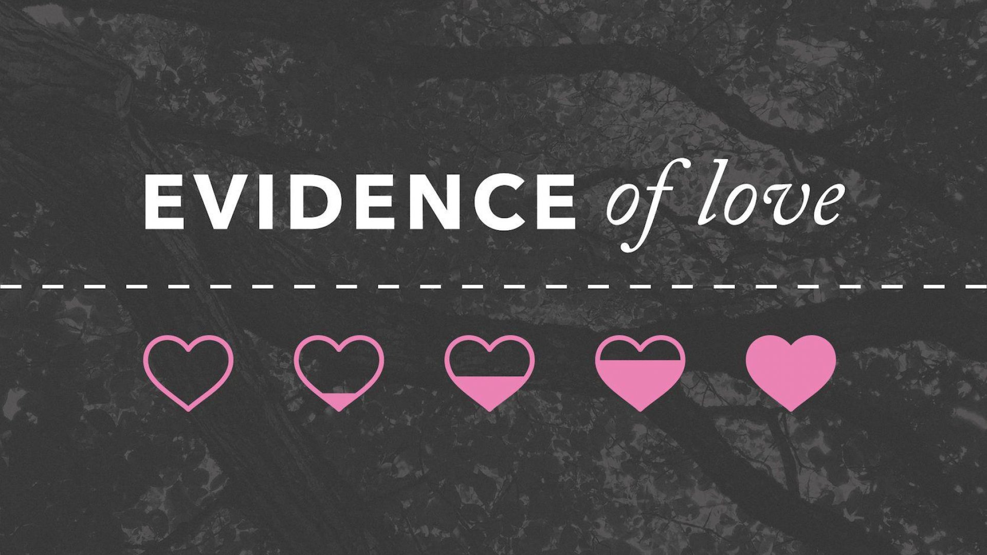 Teaching artwork for Evidence of Love
